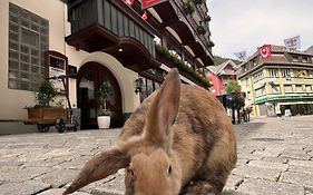 Gasthaus Spannort für Familien und Freunde - Self Check-In